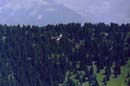 rigi014