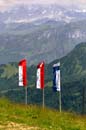 rigi028