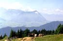 rigi_004
